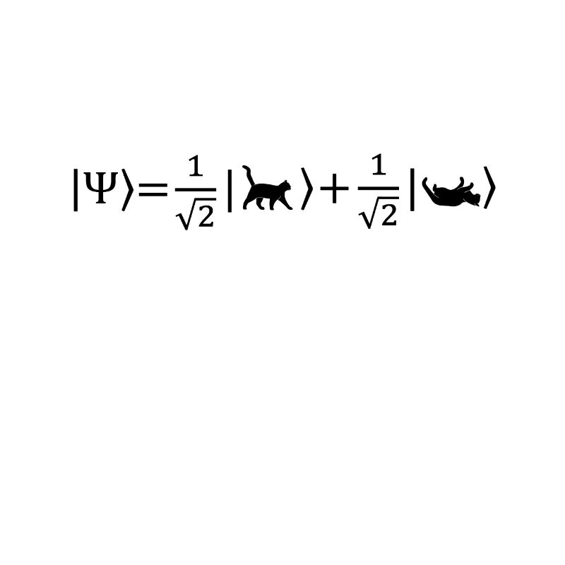 Schrödinger's Cat - Physicist Gift Physics Nerd