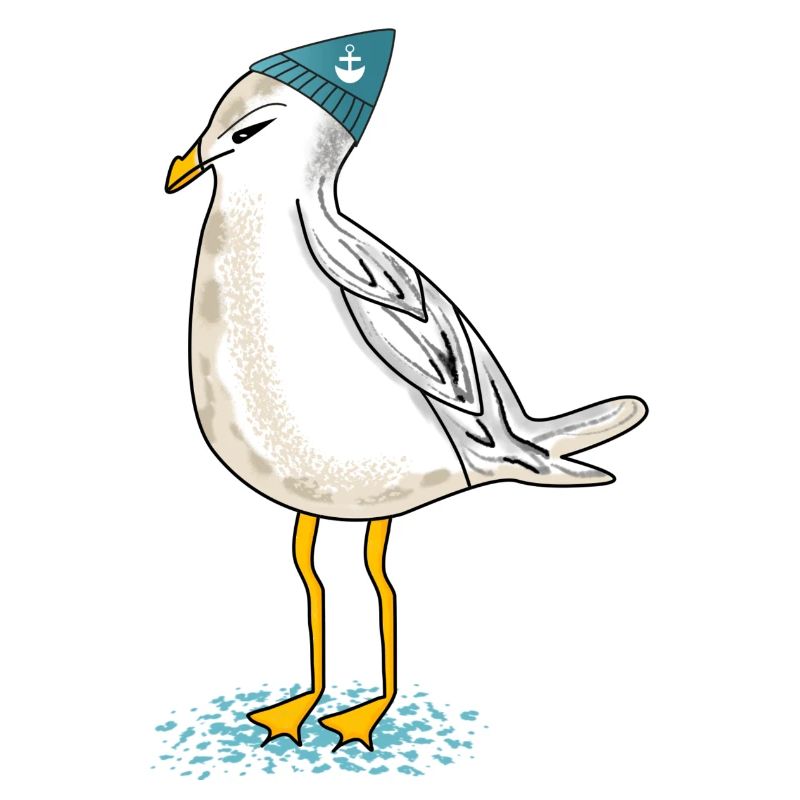 Möwe an der Küste