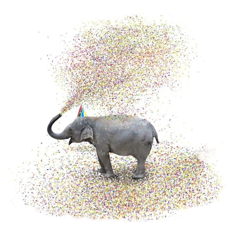 l'éléphant