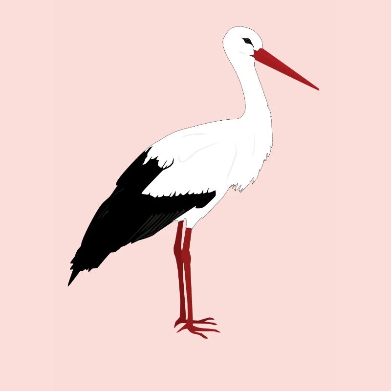 Stork stands