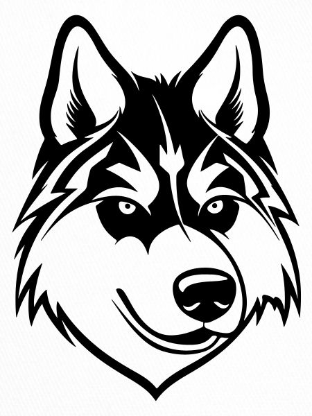 Husky Dog Wolf