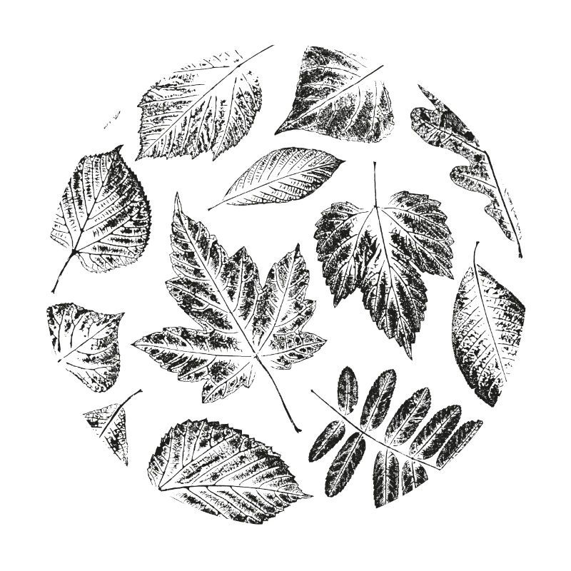 Feuilles d'automne feuillage noir cadeau