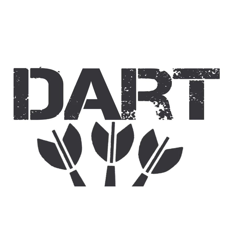 Darts darts darts player
