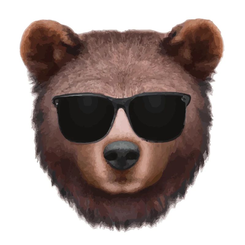 Bear face with sunglasses