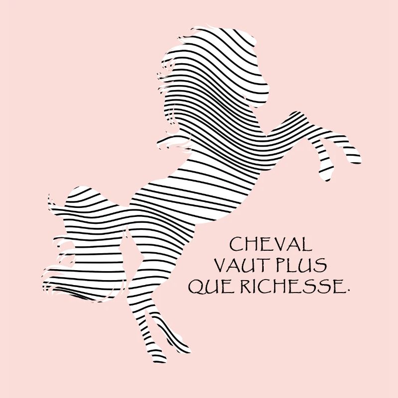 Cheval Noir et Blanc