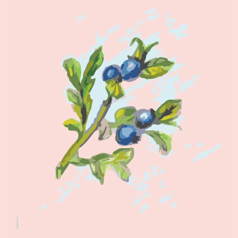myrtille