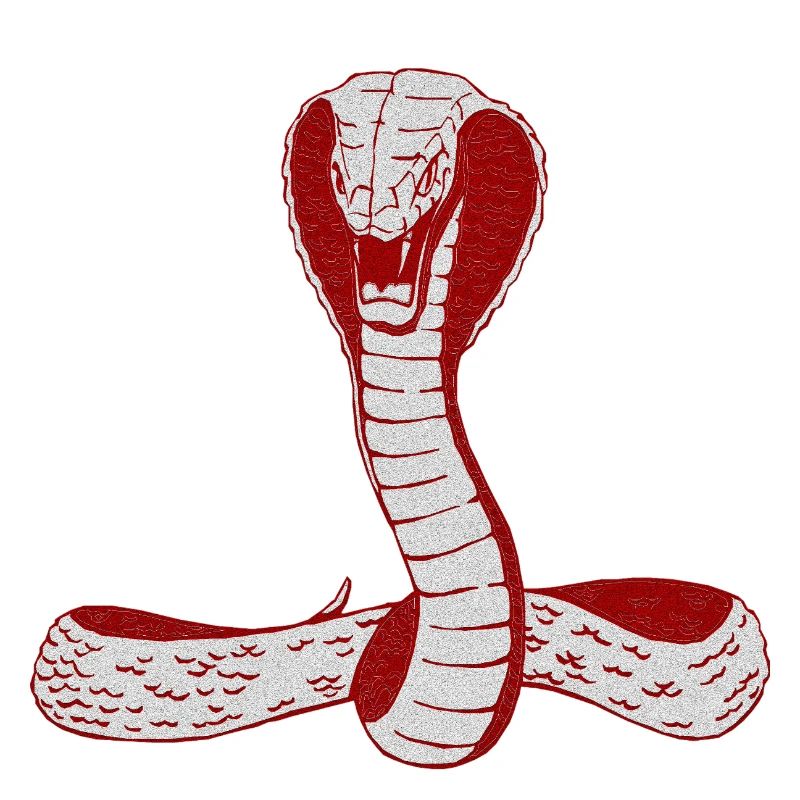 Snake Cobra Graphic