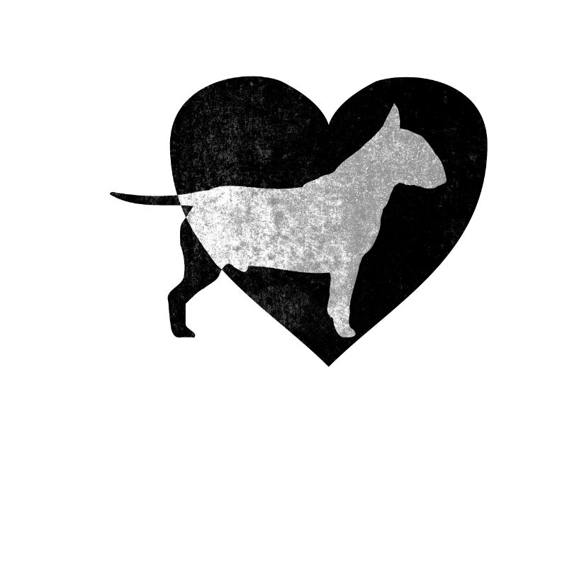 Bullterrier Hund