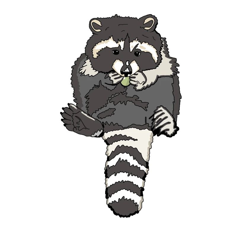 munching dumpy raccoon