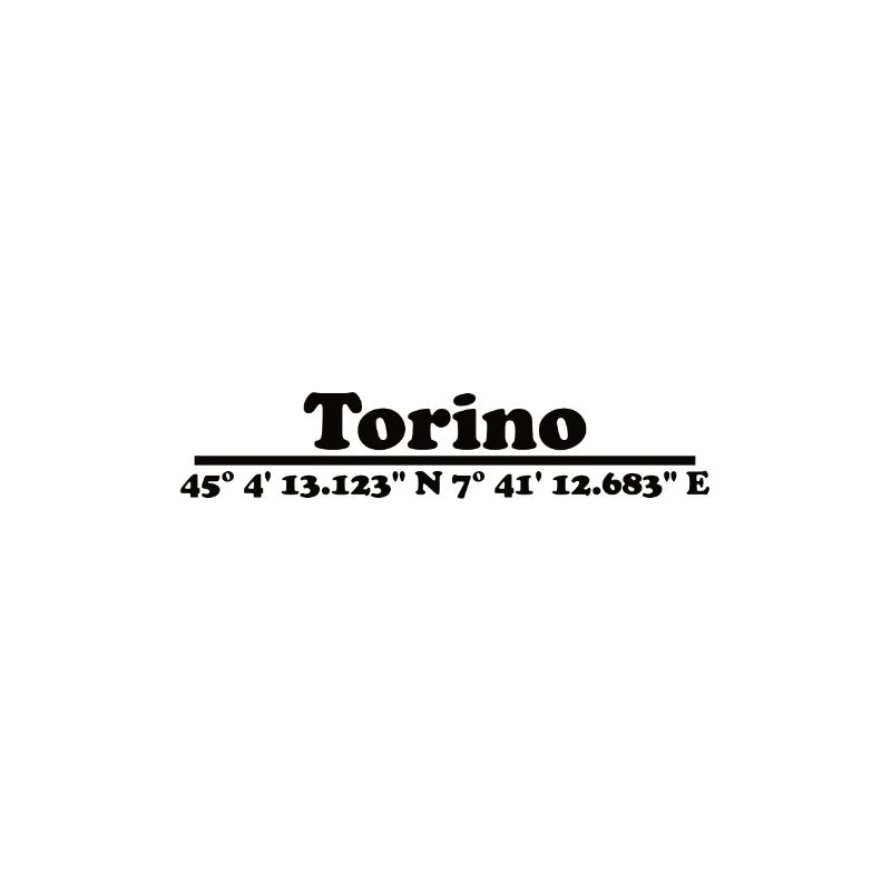 Turin Coordinates
