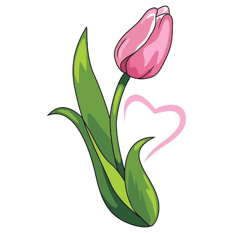 Pink tulip