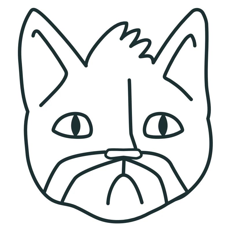 Chat Moustache malheureux chat