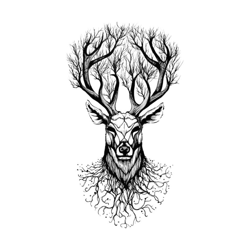 Hirsch