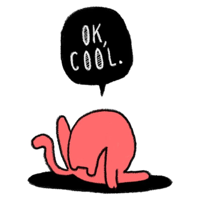 Chat - Miaou - Chaton - Gueule de bois - Ok Cool