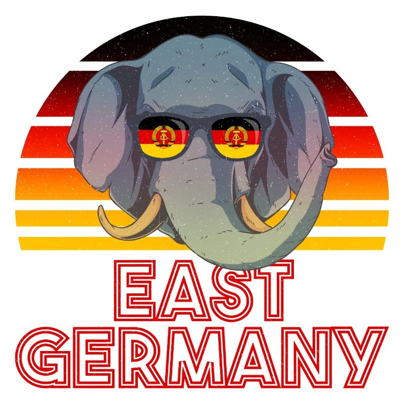 DDR