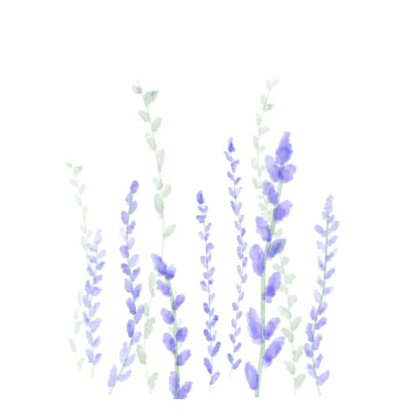 lavender