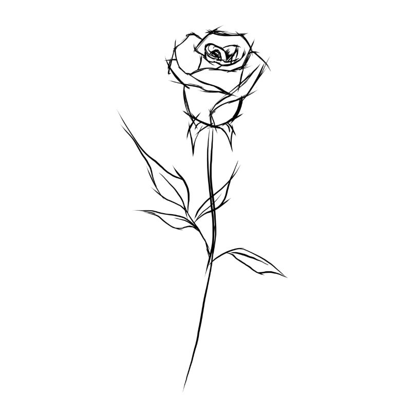 Rose "schwarz"