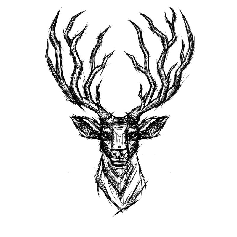 deer