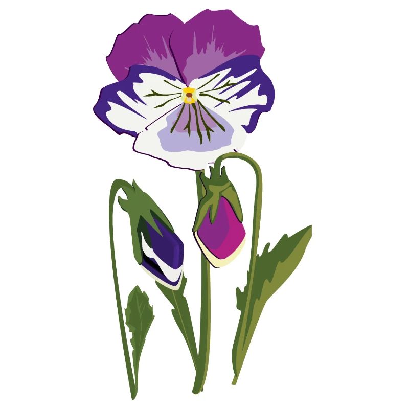 Fleur de violette