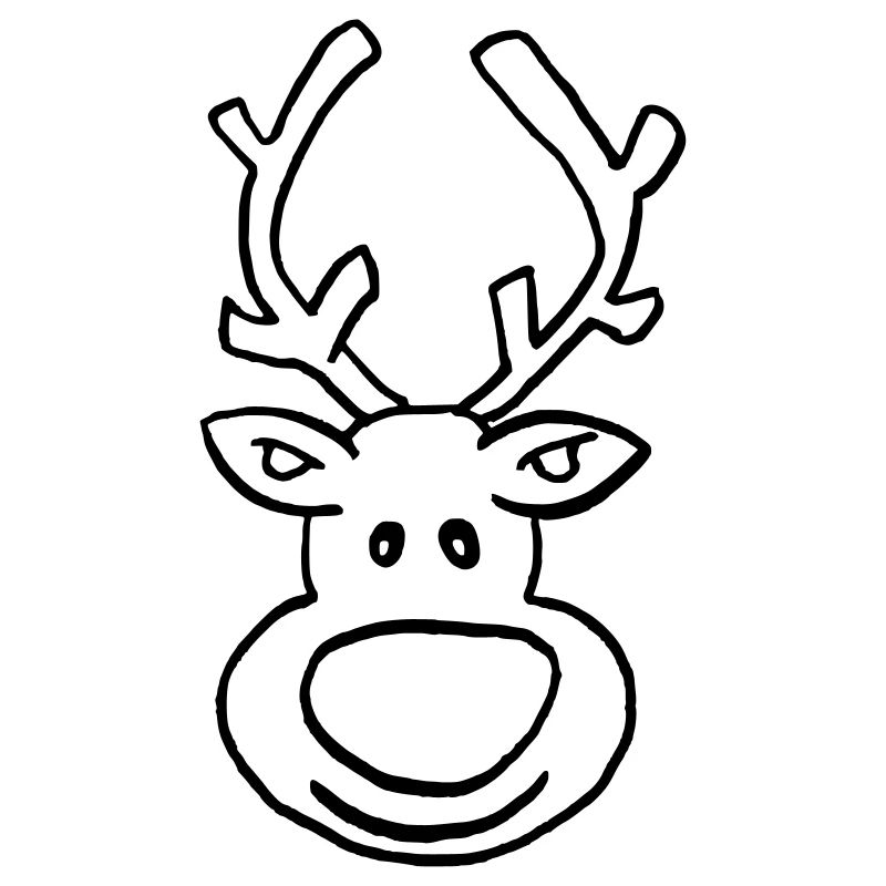 funny moose with big nose
