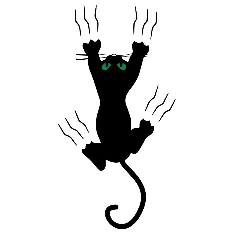 Katze