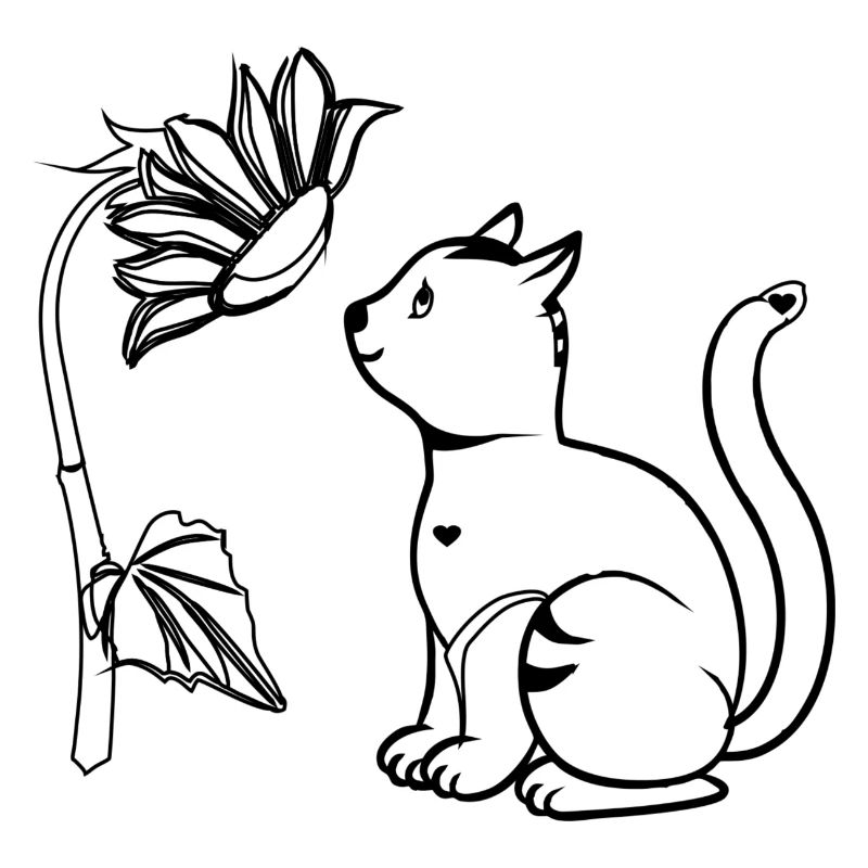 Cat with sunflower