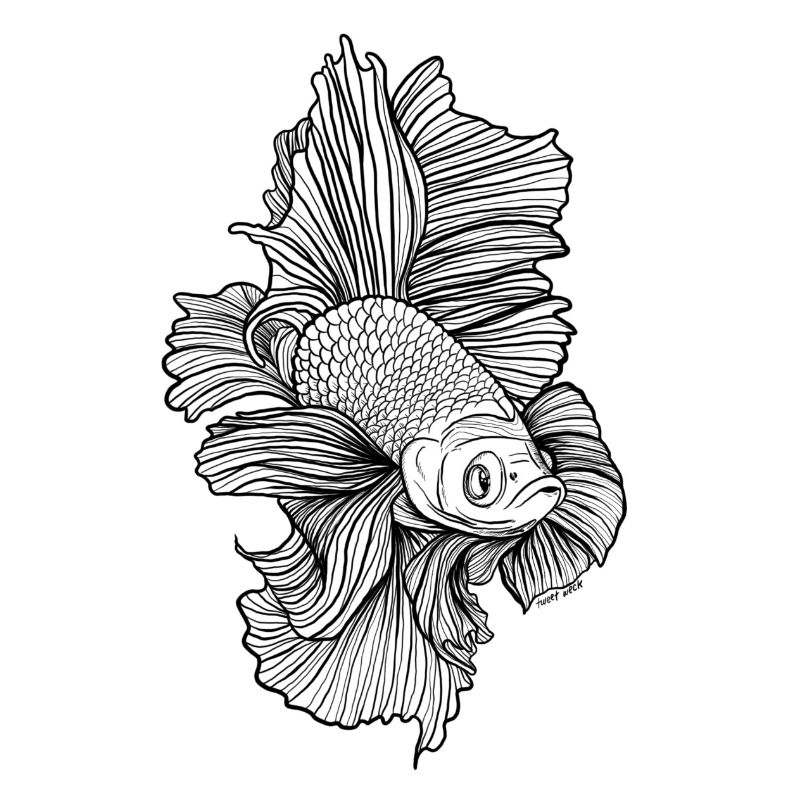 Betta Poisson