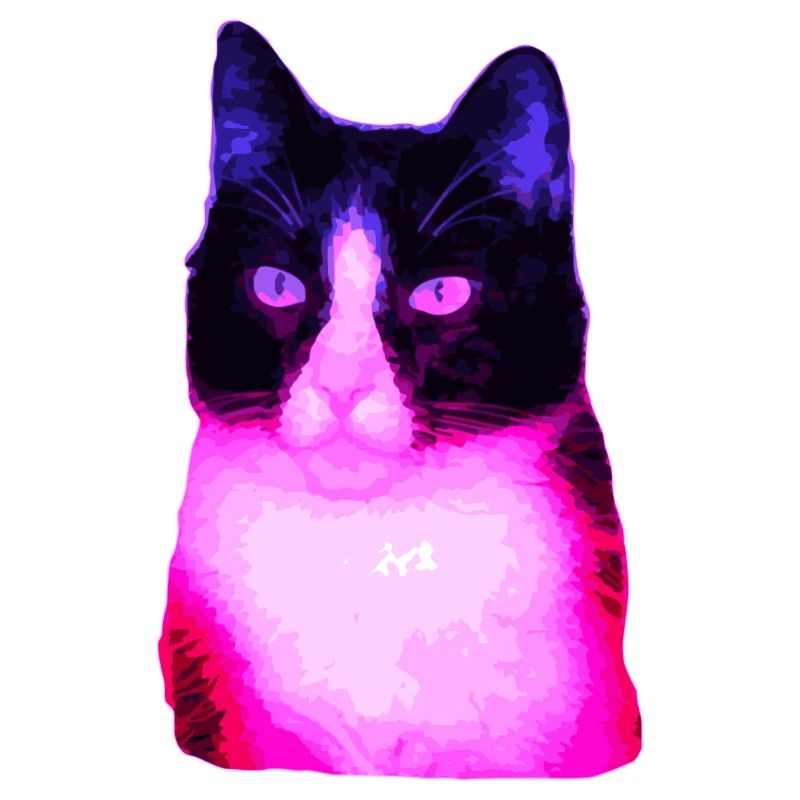 Cat cats cat