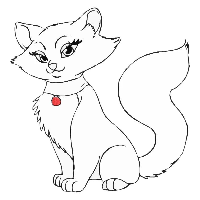 Belle dame de chat