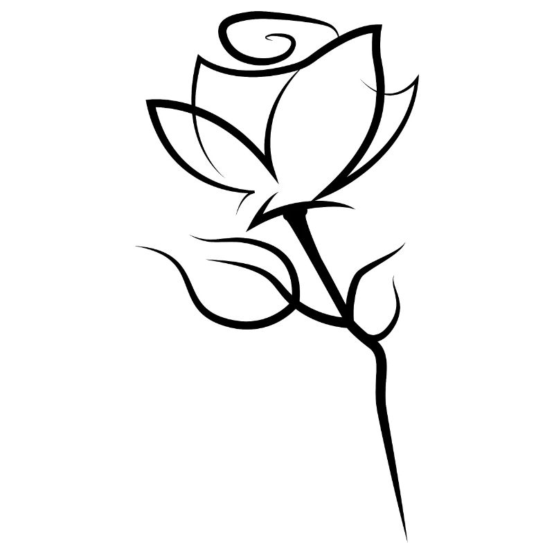 Blume Rose