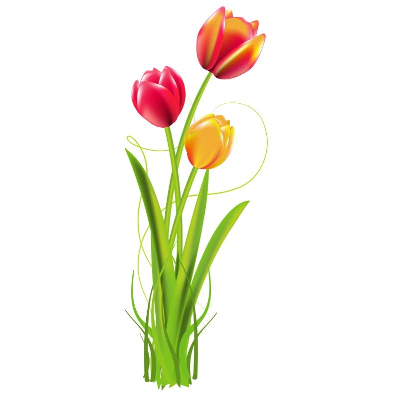 Three brightly coloured tulips as a spring bouquet