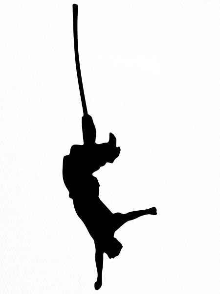 saut de bungee