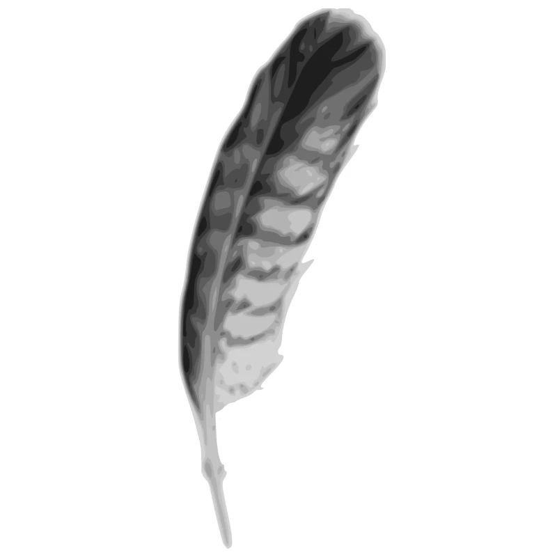 Feder