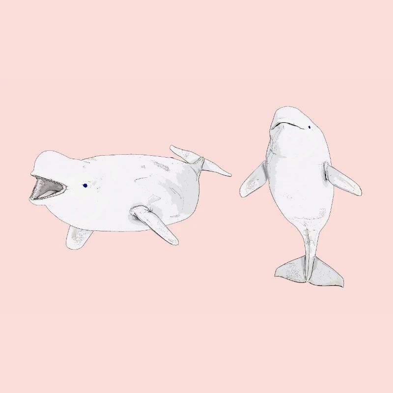 Deux bélugas