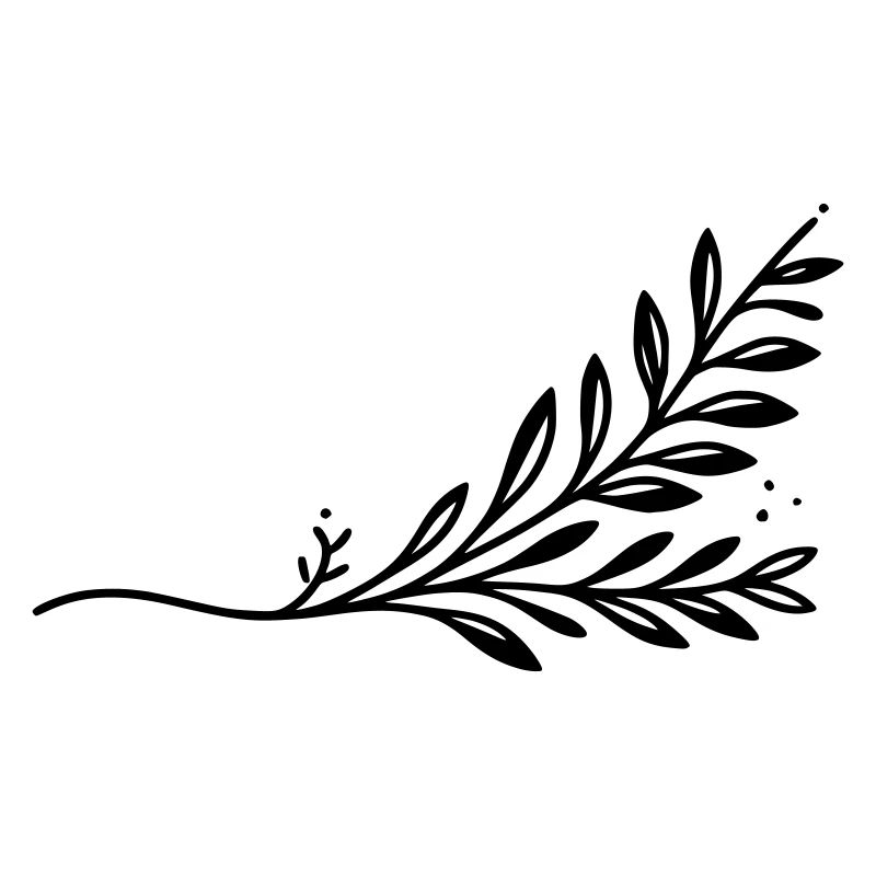 Branch Branch