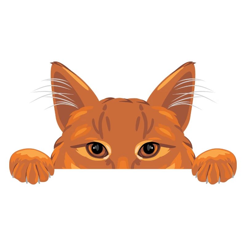Peeking ginger cat