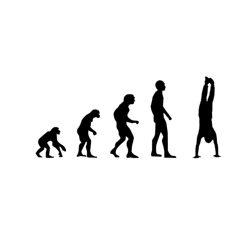 Evolution Handstand