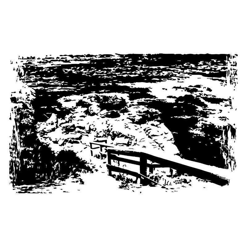 Path to the sea