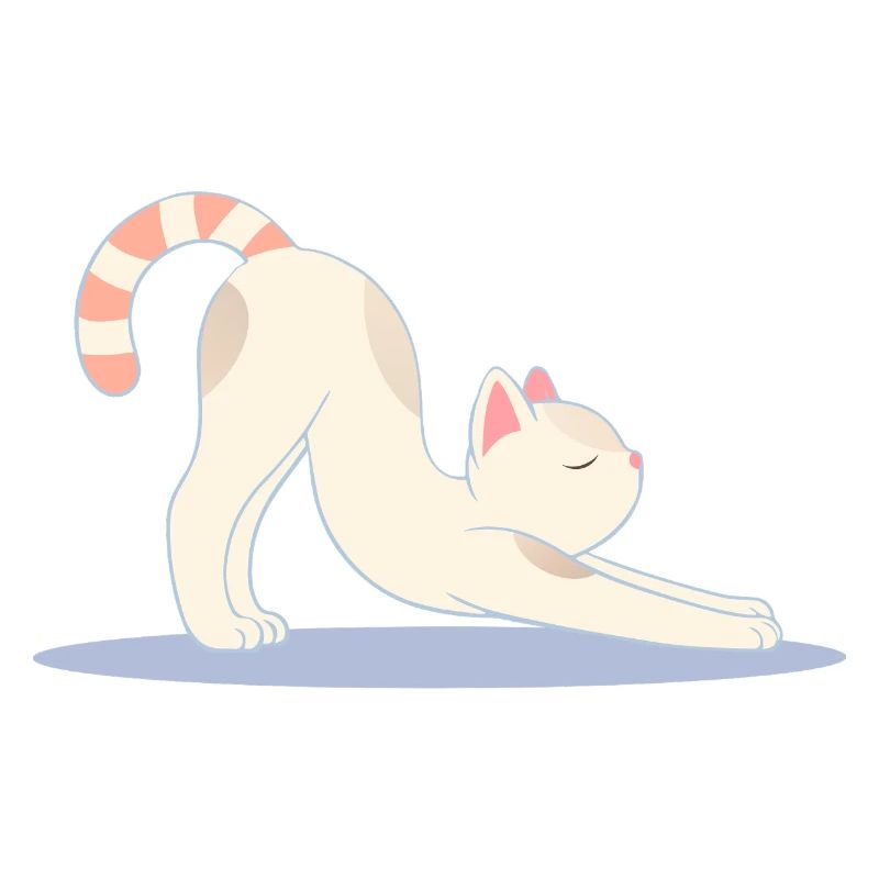 chat mignon dans une pose d’étirement de yoga classique