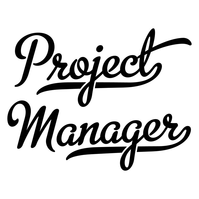 Project manager