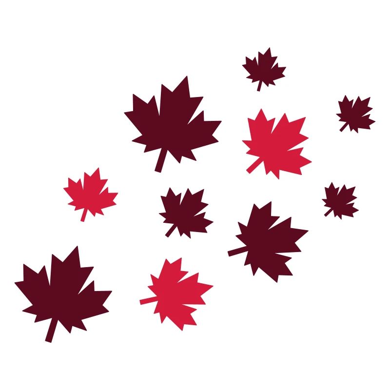 Feuilles d’érable