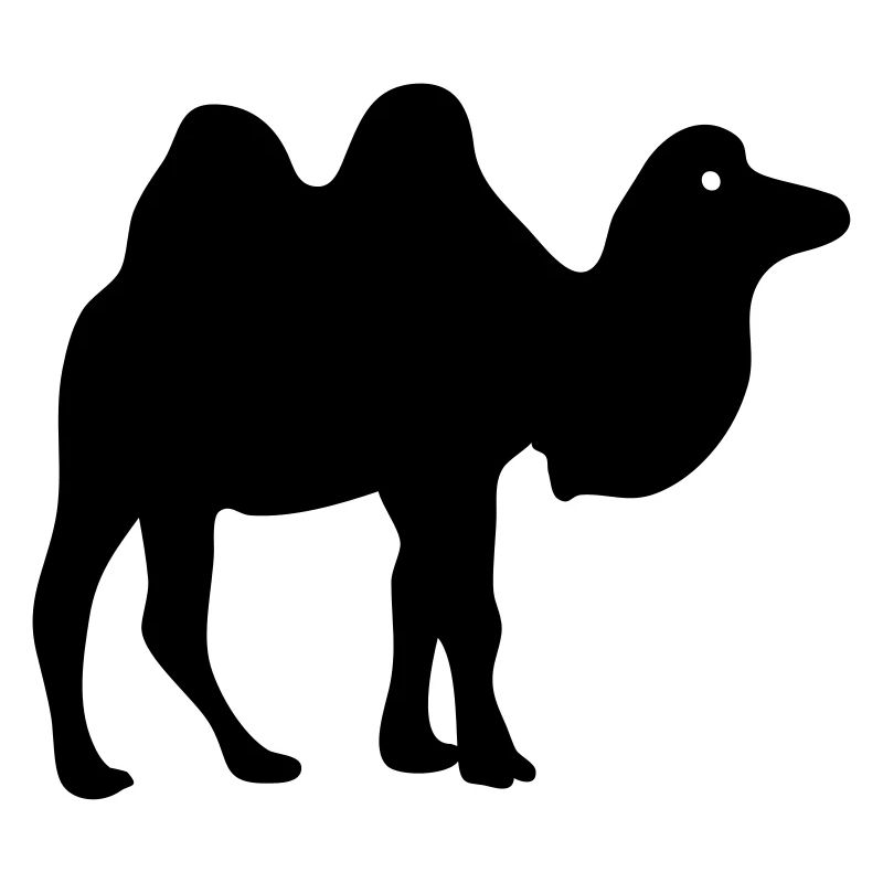 Kamel