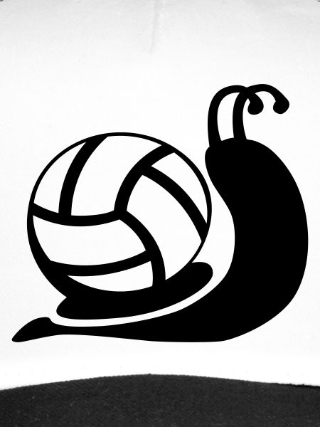 Volleyball snail