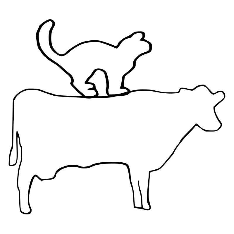 Katze Kuh