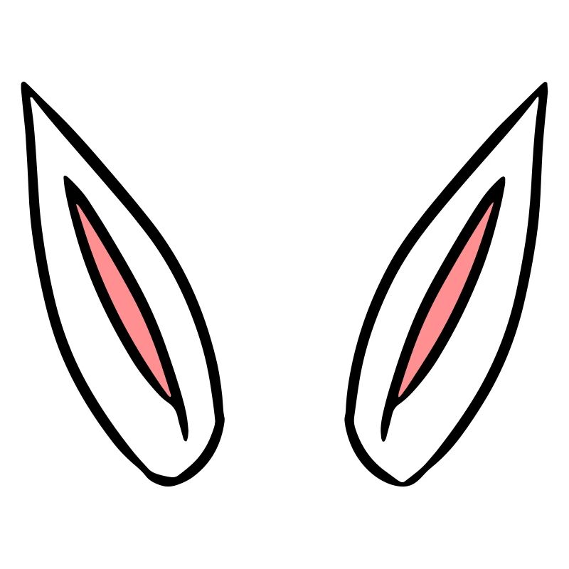 ears gift idea rabbit ears