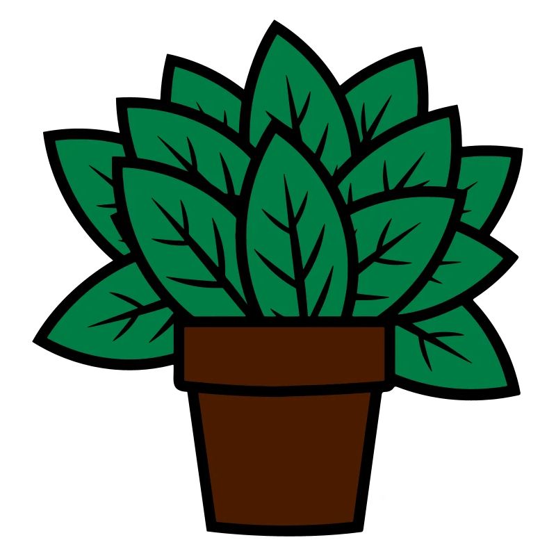 Pflanze Geschenkidee plant gift idea