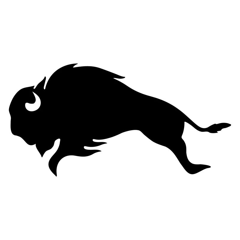 BLACK BISON BULL