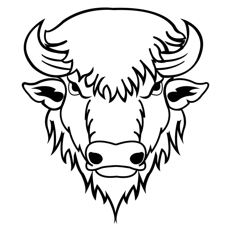 buffalo