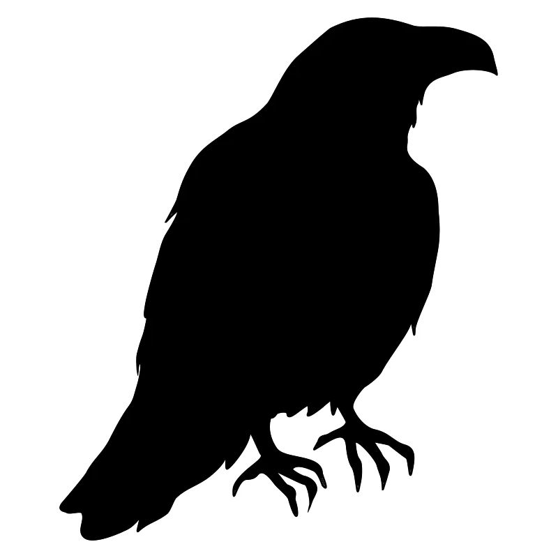 Un corbeau est assis dans le profil