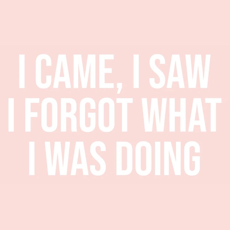 I came i saw i forgot what i was doing